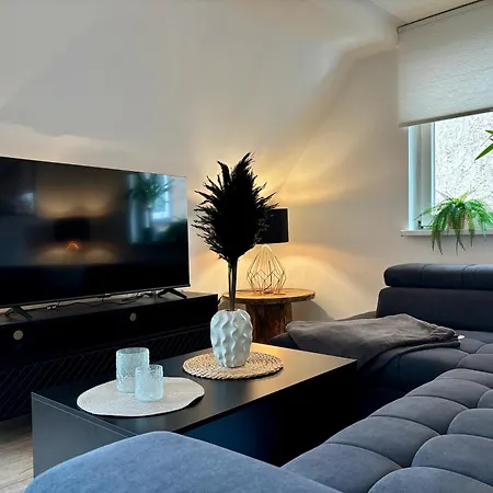 Ar Apartments I Art Apartment I 4 Pers I Zentrum Rudolstadt Esterno foto